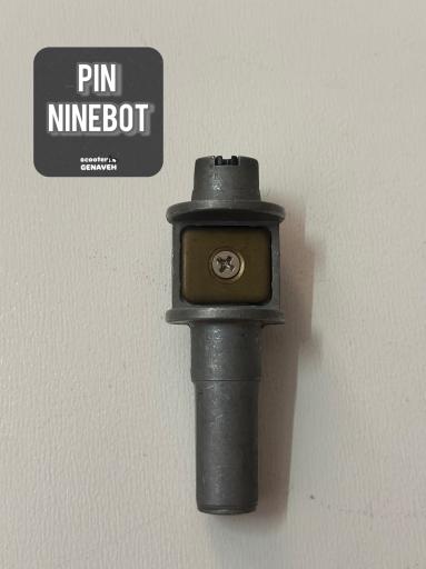 پک 2 عددی پین ناین بات 